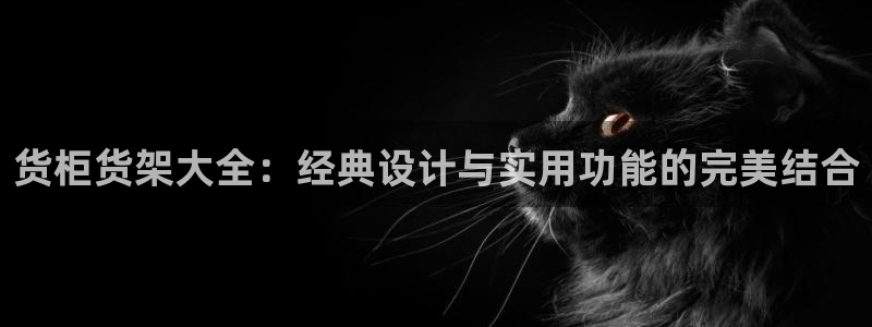 杏运体育官网：货柜货架大全：经典设计与实