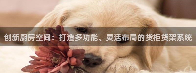 杏运体育：创新厨房空间：打造多功能、灵活