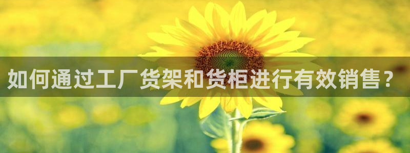 杏运平台代理：如何通过工厂货架和货柜进行