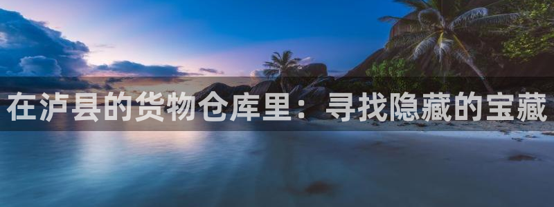 杏运注册登录：在泸县的货物仓库里：寻找隐
