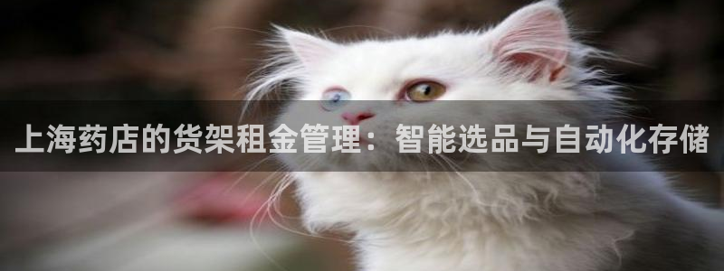 杏运平台代理