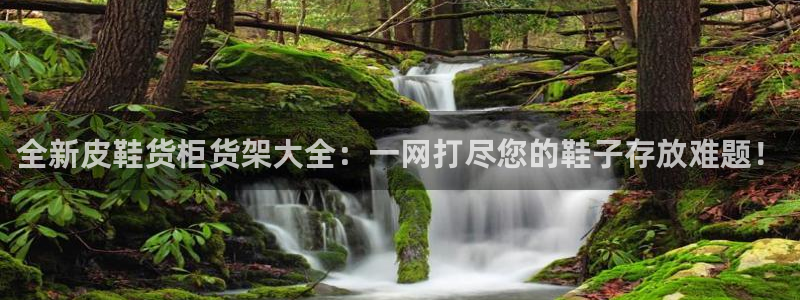 杏运平台官方网站