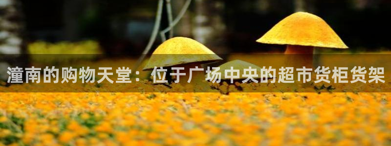 杏运体育不给出款