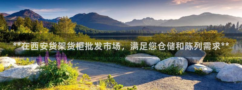 杏运体育官方网址登录