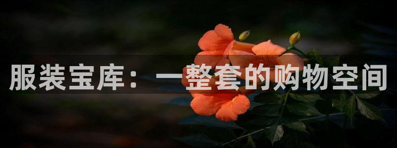 杏运平台招商：服装宝库：一整套的购物空间