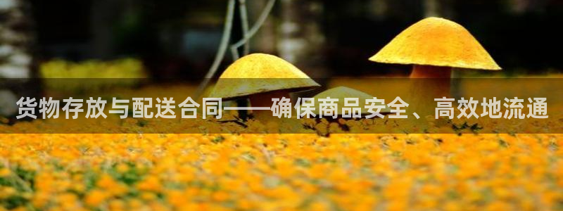杏运平台代理：货物存放与配送合同——确保