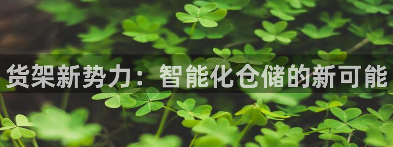 杏运平台代理：货架新势力：智能化仓储的新