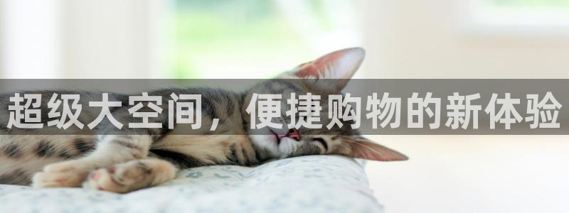 杏运新能源