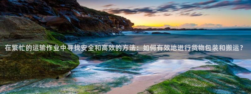 杏运平台登陆：在繁忙的运输作业中寻找安全
