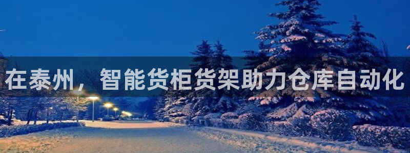 杏运代理：在泰州，智能货柜货架助力仓库自