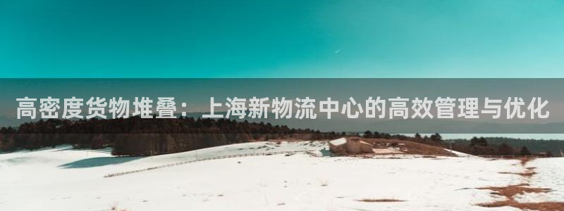 杏运体育注册：高密度货物堆叠：上海新物流