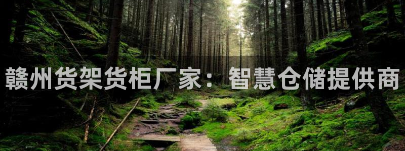 杏运体育平台：赣州货架货柜厂家：智慧仓储